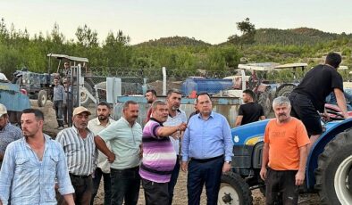 Başkan Dutlulu Yangın Bölgesinde İncelemelerde Bulundu- Haber Şafak