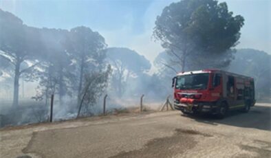 Bergama’da orman yangınına müdahale ediliyor- Haber Şafak