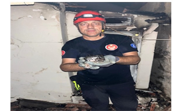 Büyükşehir yangın bölgelerindeki tüm canlıların yardımına koştu- Haber Şafak