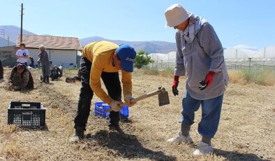 Büyükşehir’in tarım destekleri üreticiyi sevindirdi – Haber Şafak