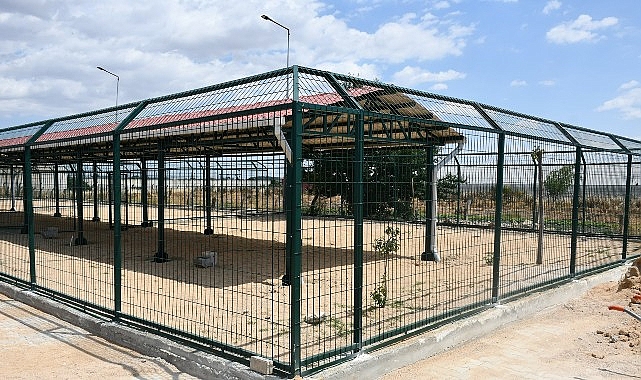 Can dostların yaşam alanları büyütülüyor- Haber Şafak