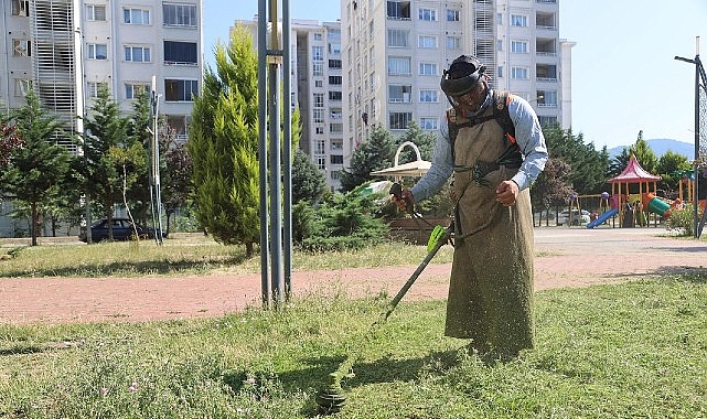 Canik’te Parklar Bakımlı ve Tertemiz – Haber Şafak
