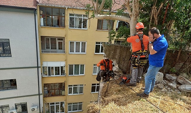 İzmit’te riskli bölgeye güvenlik kalkanı- Haber Şafak