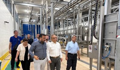 Karamürsel’de otogar, mezbaha, futbol sahası, salon ve sokak yapımına yerinde inceleme- Haber Şafak