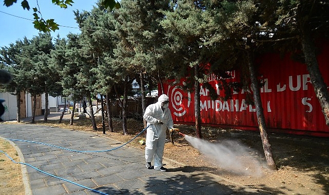 Kene ve Haşerelerle Mücadele İçin İlaçlama Çalışmaları Başladı- Haber Şafak