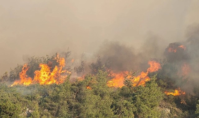 Komşudaki yangına çok sayıda araç ve ekiple müdahale- Haber Şafak