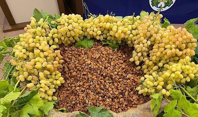 Kuru meyve sektöründe 12 ihracat şampiyonunun 11’i Egeli- Haber Şafak