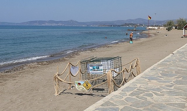 Menderes’te Caretta Caretta Heyecanı- Haber Şafak