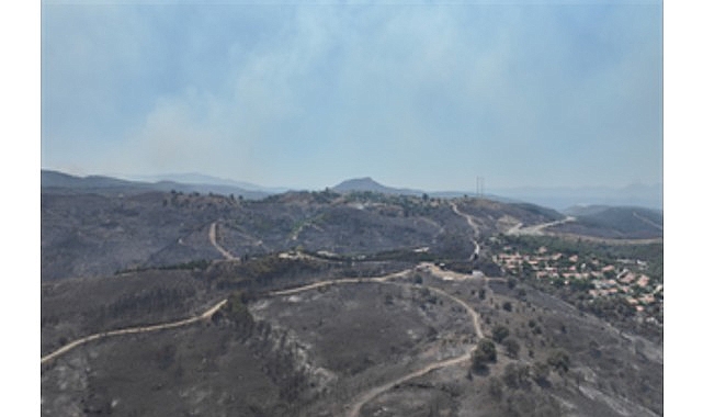 Seferihisar ve Menderes yangınlarının bilançosu ağır- Haber Şafak