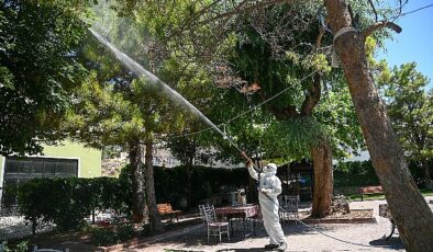 Selçuklu Belediyesi yeşil alan ilaçlamalarını dış mahallelerde de sürdürüyor- Haber Şafak