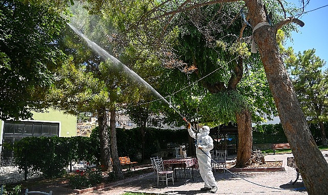 Selçuklu Belediyesi yeşil alan ilaçlamalarını dış mahallelerde de sürdürüyor- Haber Şafak