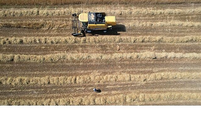 Tarımda verimlilik Büyükşehir’le artıyor- Haber Şafak