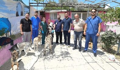 Üsküdar İle Menderes Can Dostlar İçin El Ele- Haber Şafak