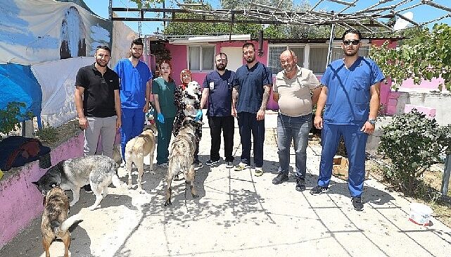 Üsküdar İle Menderes Can Dostlar İçin El Ele- Haber Şafak