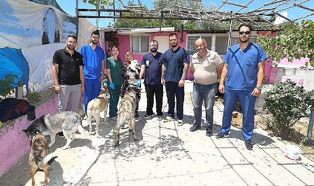 Üsküdar İle Menderes Can Dostlar İçin El Ele- Haber Şafak