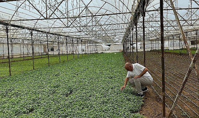 Asan Tarım Yerli Damla Sulama Projesi’ni Duyurdu