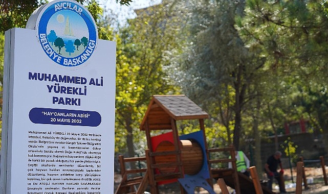 Avcılar’ın tek köpek oyun parkı yenilendi- Haber Şafak