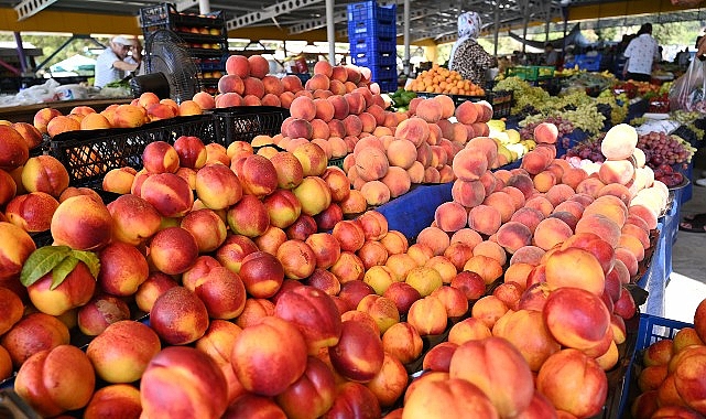 Başkan Topaloğlu’ndan pazar esnafına yeni yerinde ziyaret – Haber Şafak