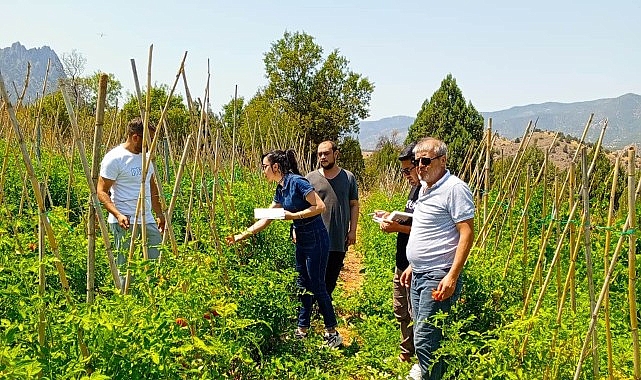 Çankaya Belediyesi’nden organik pazar denetimleri- Haber Şafak