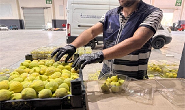 İzmir’de 2 Bin Aileye Taze İncir Desteği Sağlandı