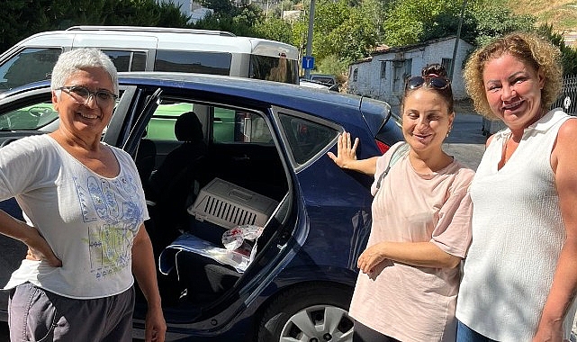 Narlıdere’de Sokak Kedileri İçin Kapsamlı Kısırlaştırma Projesi