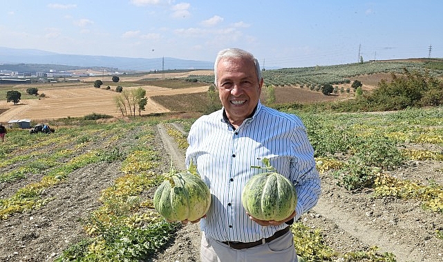 Nilüfer’de Kavun Üretimi İki Katına Çıktı