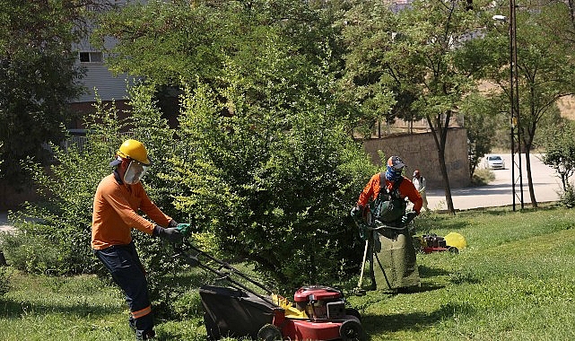 Çankaya Parkları Yenileniyor: Yeşil Alanlarda Yoğun Bakım