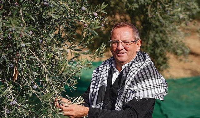 20. Ayvalık Uluslararası Zeytin Hasat ve Turizm Festivali gün sayıyor- Haber Şafak