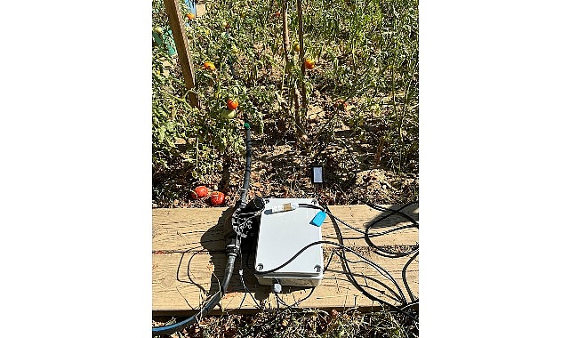 BİLGİ’li öğrencilerden sürdürülebilir tarıma katkı: Elektronik Kontrollü Damla Sulama Sistemi- Haber Şafak