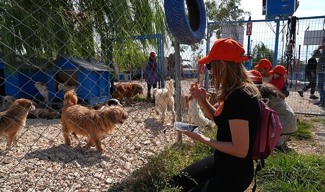 Borusan Pati Elçileri’nden sokağa terk edilmiş can dostlara mama, koruyucu aile ve sahiplendirme desteği- Haber Şafak