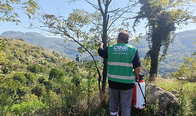 Canik Belediyesi’nden Kokarca Zararlısına İlaçla Müdahale  – Haber Şafak