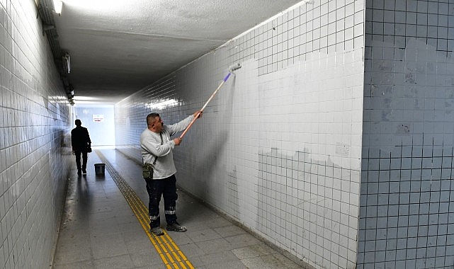 Çiğli’de sonbahar bakımı: Ağaçlar budanıyor, kent güzelleşiyor- Haber Şafak