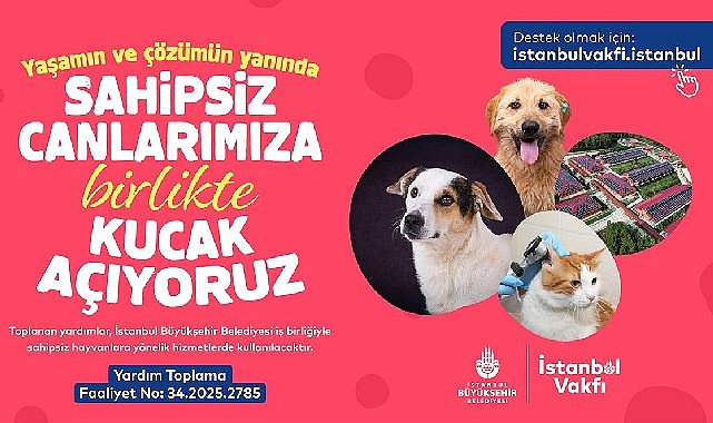 İstanbul Vakfı’ndan sahipsiz can dostlarımıza destek çağrısı- Haber Şafak