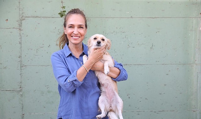 Karşıyaka’da can dostlar için 25 ton mama toplandı- Haber Şafak