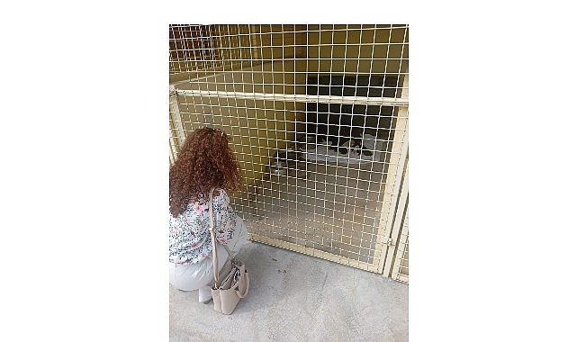 Öğrencilerden barınağa ziyaret – Haber Şafak