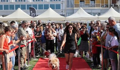 Patilerin Festivali 6 yaşında- Haber Şafak
