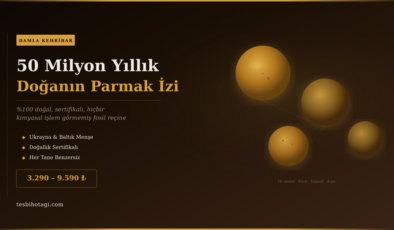 Damla Kehribar: Neden 50 Milyon Yıllık Bir Fosil İçinde Böcek Bulmak Tesbihi Daha Değerli Kılıyor?