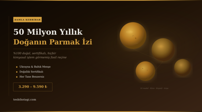 Damla Kehribar: Neden 50 Milyon Yıllık Bir Fosil İçinde Böcek Bulmak Tesbihi Daha Değerli Kılıyor?